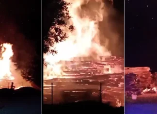 ULTIMA ORĂ: (VIDEO) Incendiu devastator la un depozit de lemn din Sănduleni, Bacău. Sute de metri cubi de material lemnos au ars
