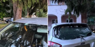 (VIDEO) Scandal la Poliția din Buhuși: injurii, obiecte aruncate și mașina unui polițist vandalizată. Ancheta scoate la iveală noi fapte