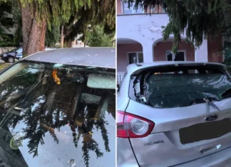 (VIDEO) Scandal la Poliția din Buhuși: injurii, obiecte aruncate și mașina unui polițist vandalizată. Ancheta scoate la iveală noi fapte