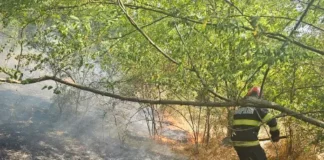 (VIDEO) Incendiu de vegetație lângă Onești. Patru hectare de teren, afectate de flăcări