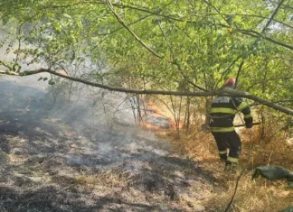 (VIDEO) Incendiu de vegetație lângă Onești. Patru hectare de teren, afectate de flăcări