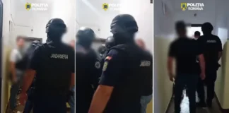 (VIDEO) Polițiștii și jandarmii au descins în șase locuințe din Onești, într-un dosar de contrabandă. Mii de țigarete netimbrate, găsite