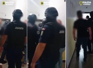 (VIDEO) Polițiștii și jandarmii au descins în șase locuințe din Onești, într-un dosar de contrabandă. Mii de țigarete netimbrate, găsite