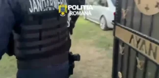 (VIDEO) Bancnote false de 50 de euro, folosite la cumpărarea unor mașini. Percheziții în cinci județe, sub supravegherea procurorilor din Onești