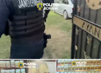 (VIDEO) Bancnote false de 50 de euro, folosite la cumpărarea unor mașini. Percheziții în cinci județe, sub supravegherea procurorilor din Onești