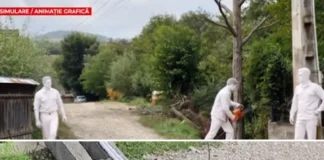 (FOTO) Detalii noi despre tragedia de la Bârsănești, lângă Onești. Cum a ajuns stâlpul peste bărbatul de 60 de ani care a murit