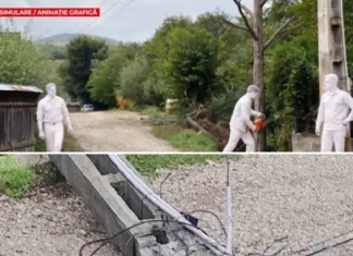 (FOTO) Detalii noi despre tragedia de la Bârsănești, lângă Onești. Cum a ajuns stâlpul peste bărbatul de 60 de ani care a murit
