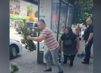 (VIDEO) Intervenție brutală: un polițist local a aruncat florile și fructele vândute de o bunicuță pe trotuar