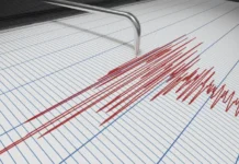 NEWS ALERT: Cutremur cu magnitudinea estimată de 4,9. Seismul s-a simțit în România, Republica Moldova și Ucraina