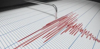 ULTIMA ORĂ: Cutremur mediu în zona Vrancea-Buzău, marți dimineață. Seismul, resimţit şi în Republica Moldova. Cât de puternic a fost