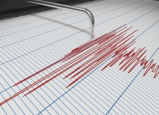 ULTIMA ORĂ: Cutremur cu magnitudinea 4,1 în Vrancea, duminică dimineaţă