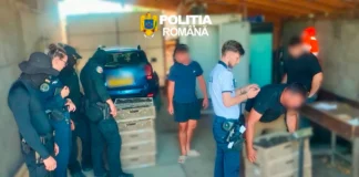 (FOTO) Acțiune de amploare în judeţul Bacău împotriva comerțului ilegal cu trufe. Marfă de peste 81.000 de lei, confiscată de poliţiştii din Bacău, Oneşti şi Moineşti