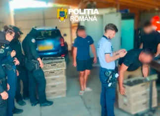 (FOTO) Acțiune de amploare în judeţul Bacău împotriva comerțului ilegal cu trufe. Marfă de peste 81.000 de lei, confiscată de poliţiştii din Bacău, Oneşti şi Moineşti