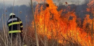 Foc la calea ferată, lângă Stația CF Bacău. Linia de contact a fost scoasă de sub tensiune