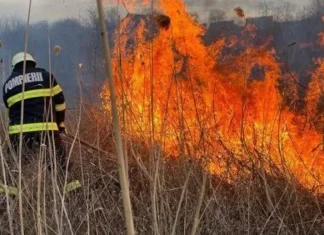 Foc la calea ferată, lângă Stația CF Bacău. Linia de contact a fost scoasă de sub tensiune