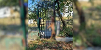 Femeie de 41 de ani, atacată de un șacal pe ulița satului. Caz similar la Bogdănești, lângă Onești