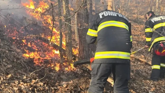incendiu-litiera-padure-e1741201342776-850x479-convertită-de-la-jpg