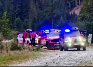 Apel disperat la 112 după un atac de urs într-o zonă împădurită din județul Bacău. Victima a fost recuperată de jandarmi după o intervenție de urgență