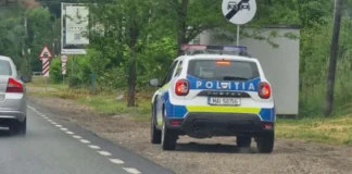 Polițist lovit în cap cu o bâtă de o adolescentă, în timpul unei intervenții