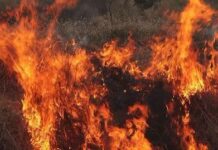 ULTIMA ORĂ: ALERTĂ în județul Bacău: Incendiu puternic într-o pădure din Dofteana. Primăria face apel public la cetățeni pentru a ajuta pompierii