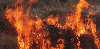 ULTIMA ORĂ: ALERTĂ în județul Bacău: Incendiu puternic într-o pădure din Dofteana. Primăria face apel public la cetățeni pentru a ajuta pompierii