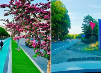 (FOTO) Scandalul panourilor din Iași cu „Hai în Bacău, avem 44 de km”: „Am făcut-o intenționat”