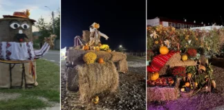 (VIDEO) Zilele Recoltei 2026 încep vineri la Comănești: trei zile cu muzică, produse locale și distracție pentru toată familia