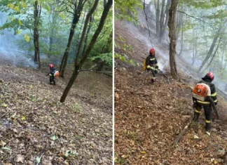 (FOTO) Bilanț îngrijorător în Bacău: Incendiul din Dofteana a intrat în a 6-a zi, iar alte 18 incendii au izbucnit în weekend!