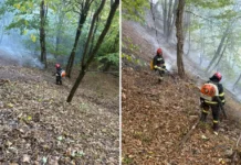 ULTIMA ORĂ: (FOTO) Incendiul din pădurea de la Dofteana este localizat. Pompierii continuă lupta cu focarele