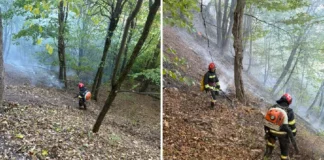 ULTIMA ORĂ: (FOTO) Incendiul din pădurea de la Dofteana este localizat. Pompierii continuă lupta cu focarele