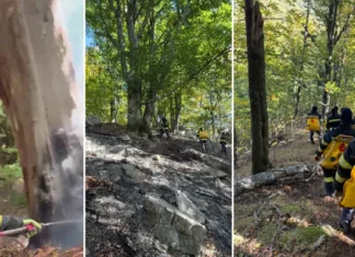 (VIDEO) Primele imagini de la incendiul din pădurea din Dofteana. Terenul accidentat îngreunează misiunea pompierilor