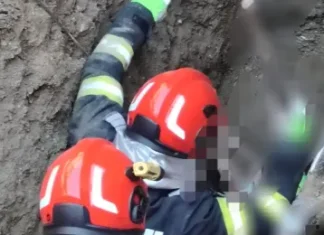 ULTIMA ORĂ: (FOTO) Tragedie în județul Bacău: Un bărbat a murit strivit după ce un mal de pământ s-a prăbușit peste el