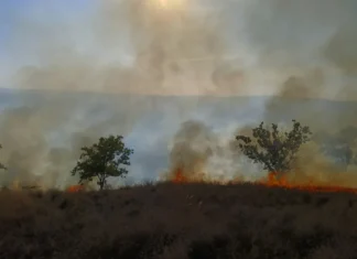 NEWS ALERT: (FOTO) Incendiu uriaș de vegetație în judeţul Bacău. 50 de hectare în flăcări, s-au suplimentat forțele ISU