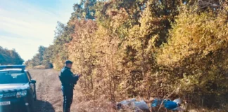 (VIDEO) Un băcăuan a aruncat gunoiul în pădure la Glăvănești, dar a fost identificat după o copie a certificatului de căsătorie