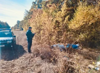 (VIDEO) Un băcăuan a aruncat gunoiul în pădure la Glăvănești, dar a fost identificat după o copie a certificatului de căsătorie