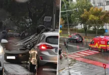 NEWS ALERT: (FOTO) Accident rutier în Bacău. Mai multe echipaje de intervenție au fost mobilizate