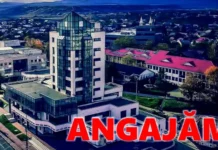Primăria Onești face angajări. Ce posturi sunt scoase la concurs și care sunt condițiile de participare