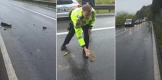 (VIDEO) Gest frumos al unor polițiști din Onești. S-au întors din drum pentru a îndepărta pietrele căzute pe DN11
