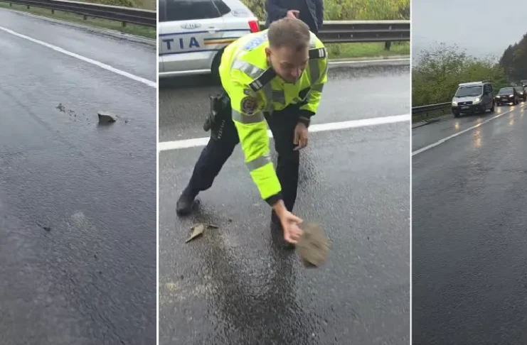 (VIDEO) Gest frumos al unor polițiști din Onești. S-au întors din drum pentru a îndepărta pietrele căzute pe DN11