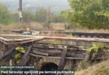 (FOTO) Pericol pe calea ferată, în județul Bacău: pod susținut cu proptele din lemn putrezite. După prăbușirea podului de la Ciobănuș, un alt pod vechi stârnește îngrijorare