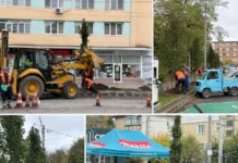 (FOTO) 30 de arbori ornamentali noi, plantați pe strada Radu Rosetti din Onești, în locul vechilor tuia, uscați și îmbătrâniți