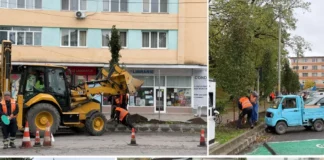 (FOTO) 30 de arbori ornamentali noi, plantați pe strada Radu Rosetti din Onești, în locul vechilor tuia, uscați și îmbătrâniți