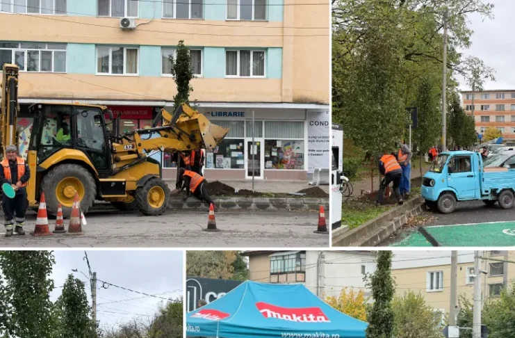 (FOTO) 30 de arbori ornamentali noi, plantați pe strada Radu Rosetti din Onești, în locul vechilor tuia, uscați și îmbătrâniți